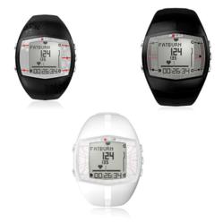 polar ft40